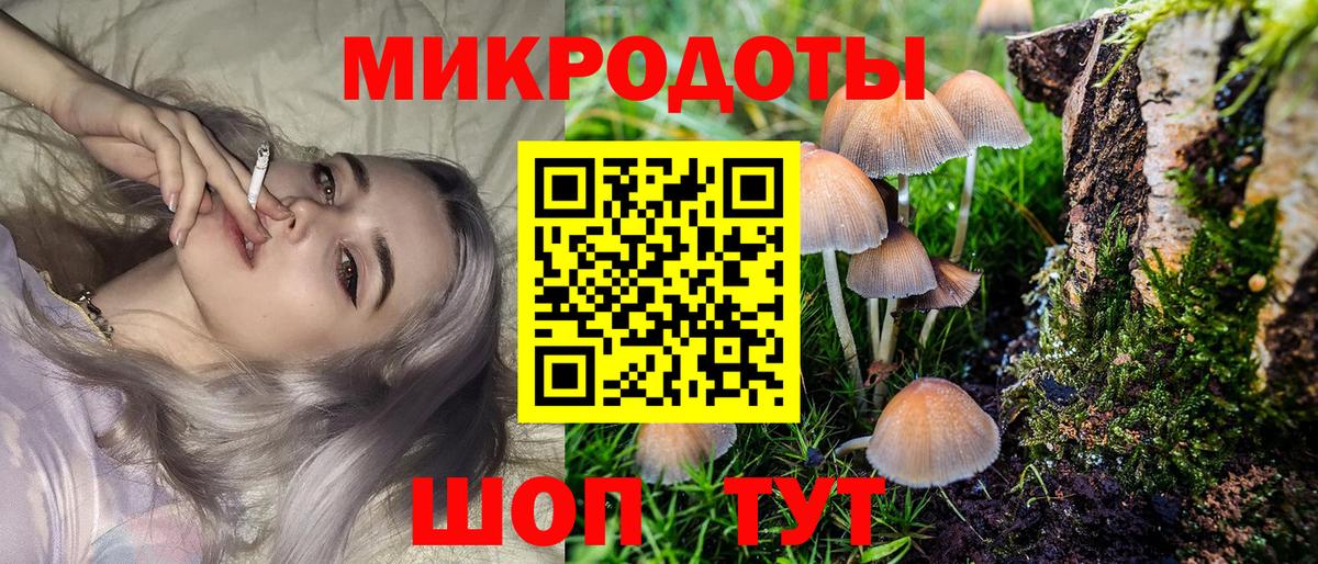 Галлюциногенные грибы Psilocybe Екатеринбург